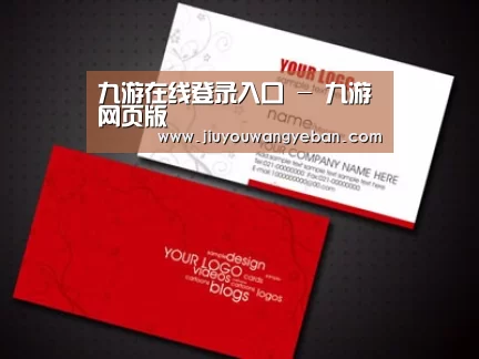 项目名称八