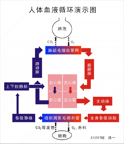 九游网页版入口