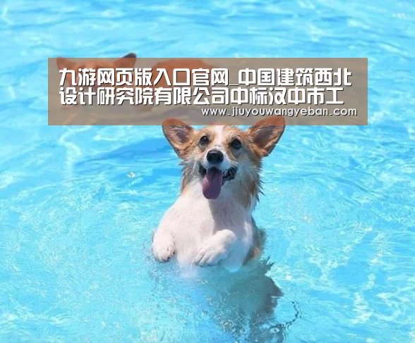 九游网页版入口