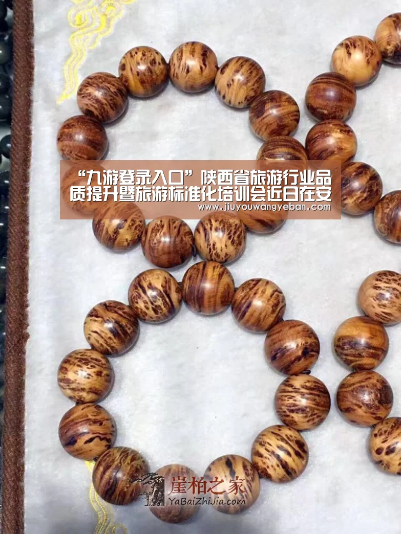 “九游登录入口”陕西省旅游行业品质提升暨旅游标准化培训会近日在安康市召开(图1) 九游网页版入口官网