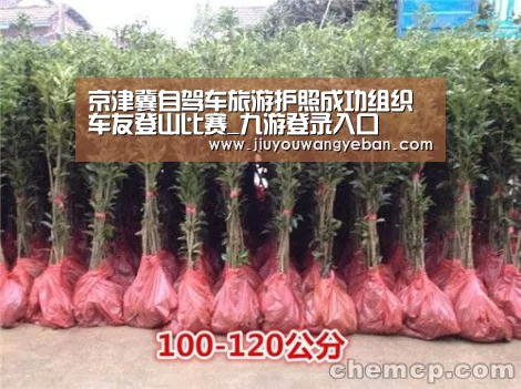 京津冀自驾车旅游护照成功组织车友登山比赛_九游登录入口(图2) 九游网页版入口官网