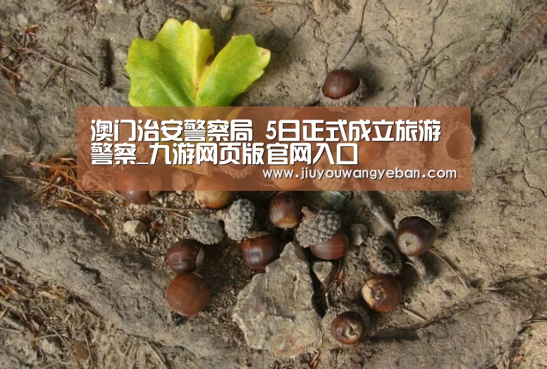 九游登录入口