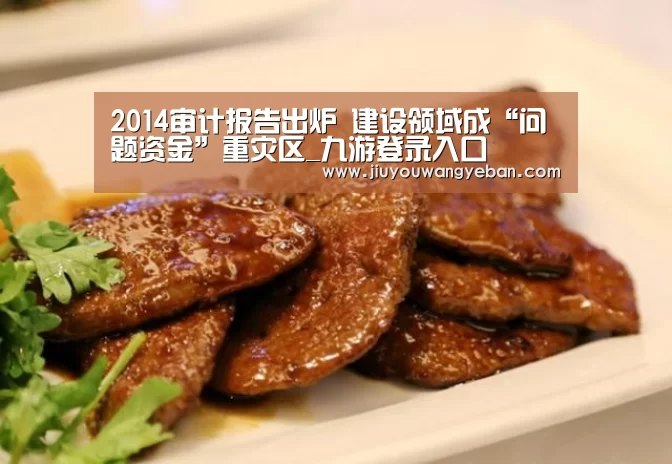 2014审计报告出炉 建设领域成“问题资金”重灾区_九游登录入口(图1) 九游网页版官网入口